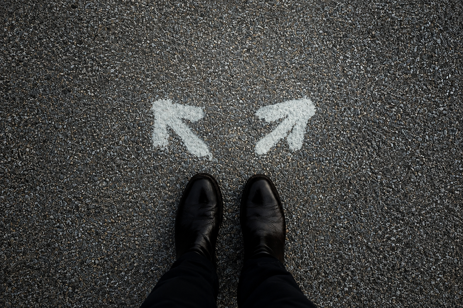 Person standing at a fork in the road with two arrows pointing in different directions, symbolising a choice between career paths. Image source: Jon Tyson on Unsplash
