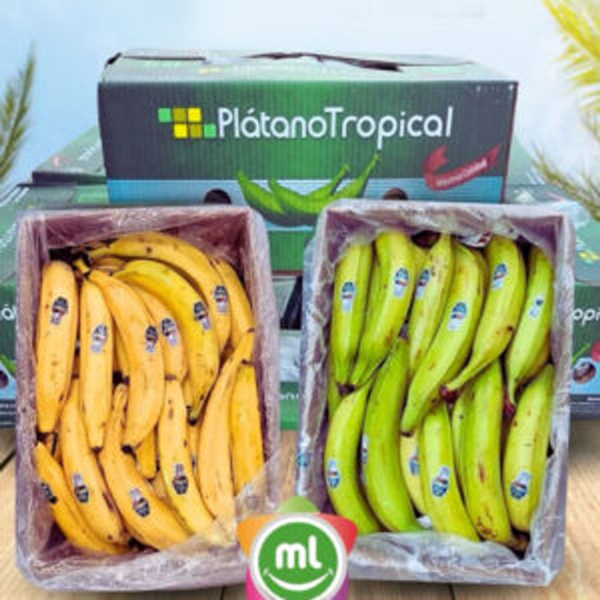 Mercado latinoArtboard 4
