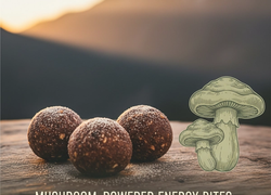 Mushroom-Powered Energy Bites: The Ultimate Fuel for Adventure Travelers