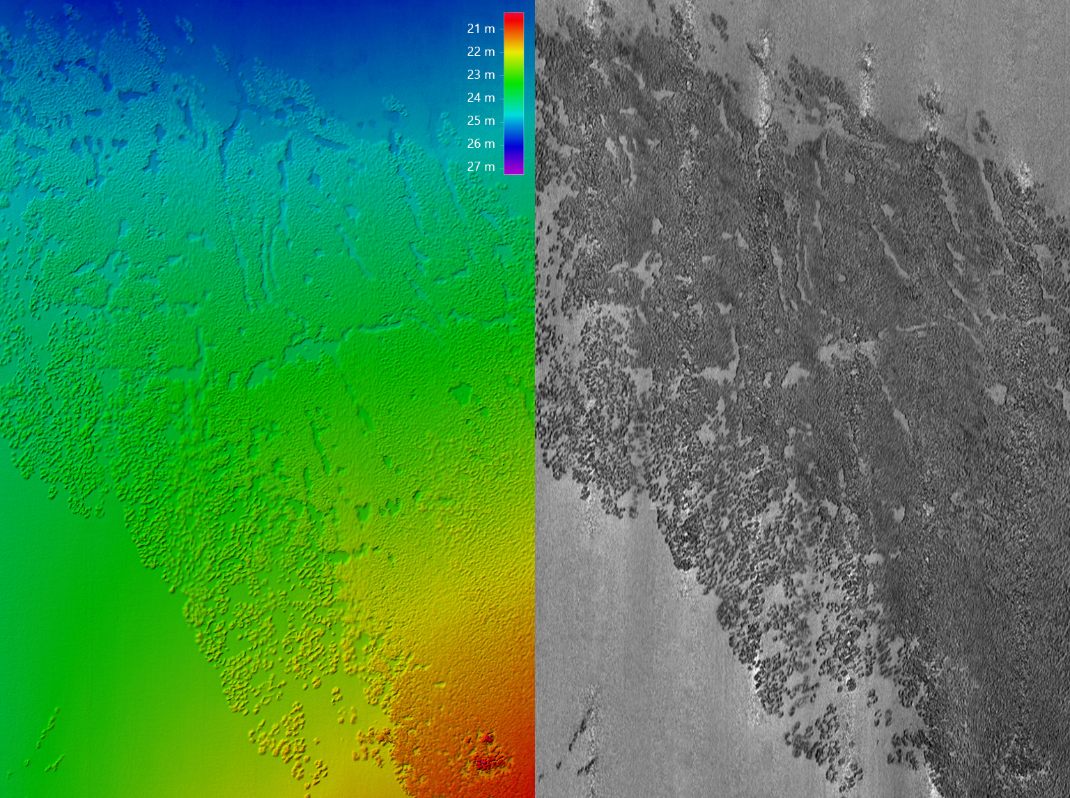 Figure 11. Left: Processed 0.5m grid data. Right: Processed snippets backscatter mosaic