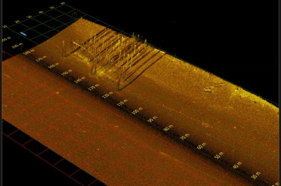 Pilings ss3D scan data image