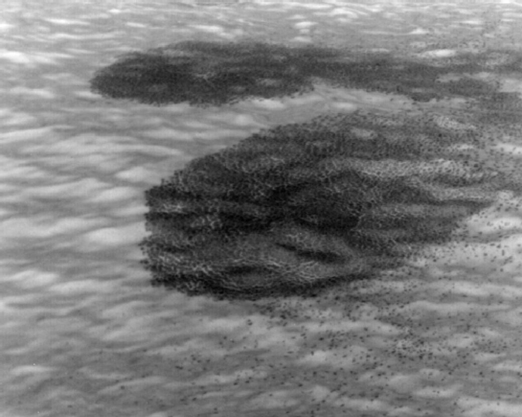 Radar image showing oil spill detection on water surface