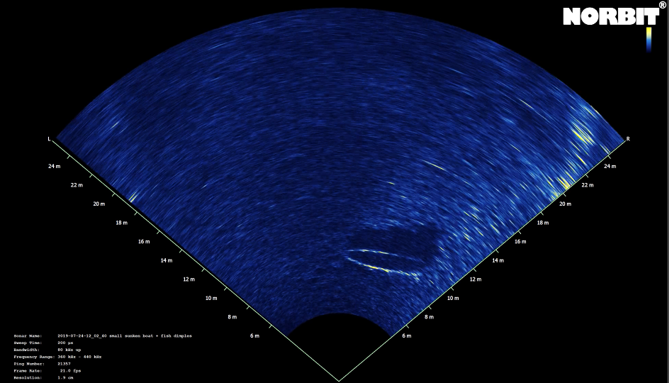 FLS video snapshot