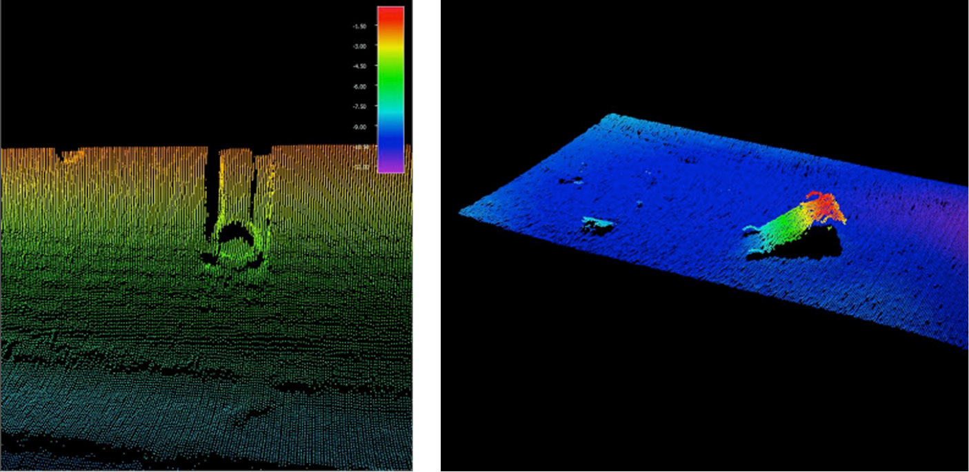 Bathymetric image from survey with Forth Ports.