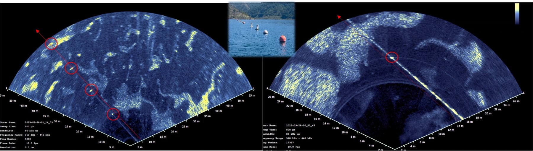 FLS data showing fish shoals and buoy line