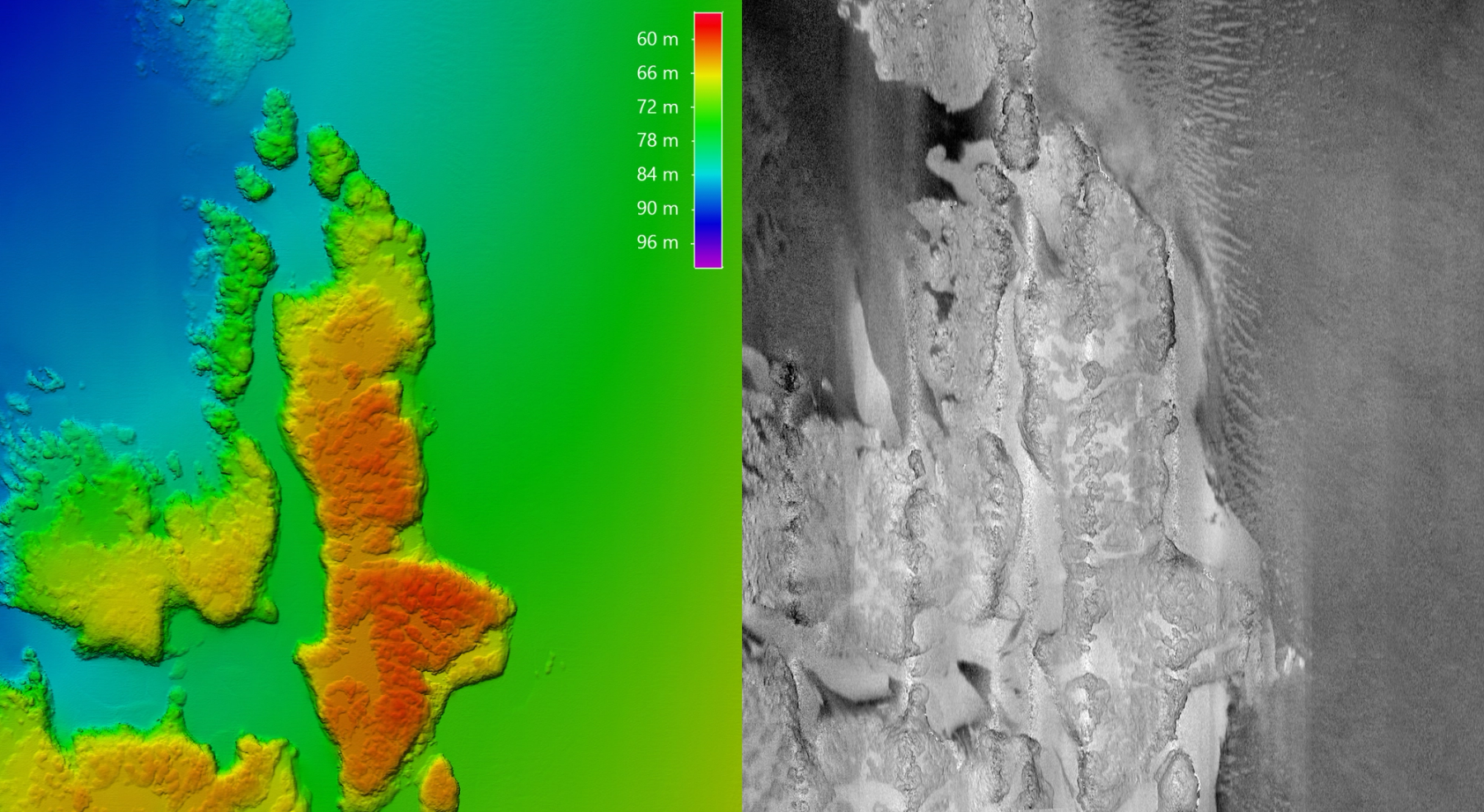 Figure 7. Left: Processed 1m grid at 60-100m depth range. Right: Processed snippets backscatter mosaic.