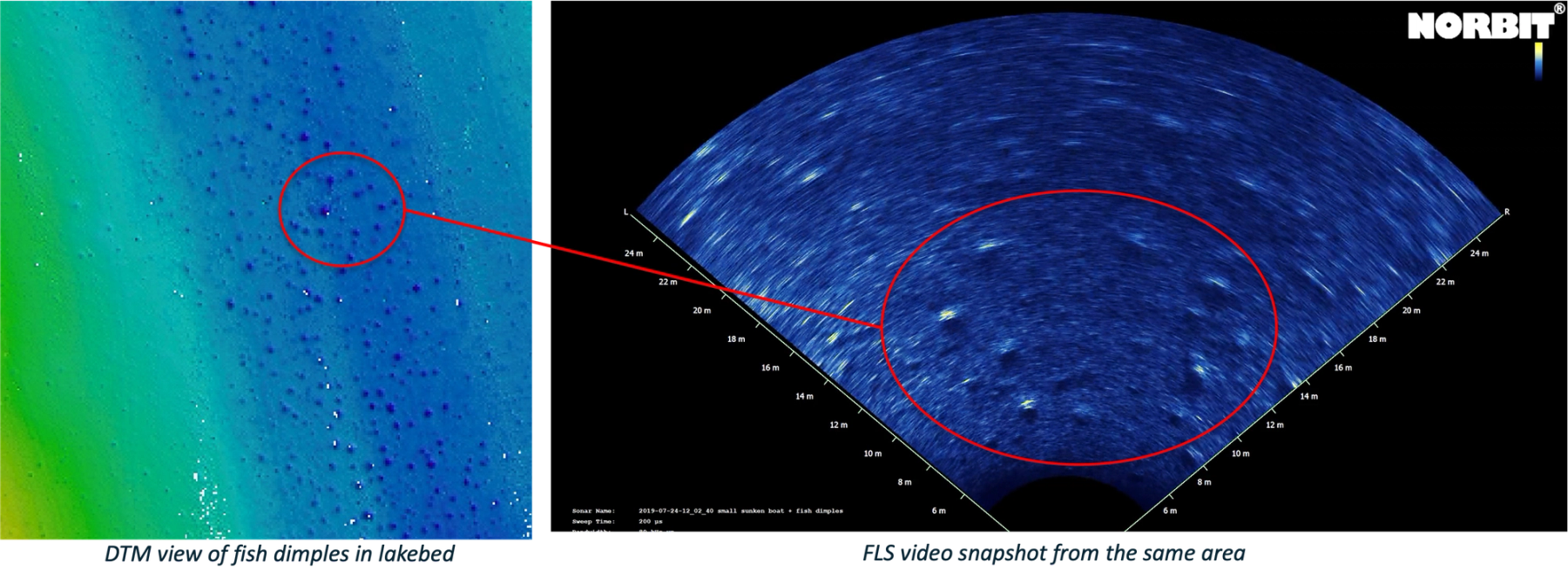 DTM and FLS view of Fish dimples