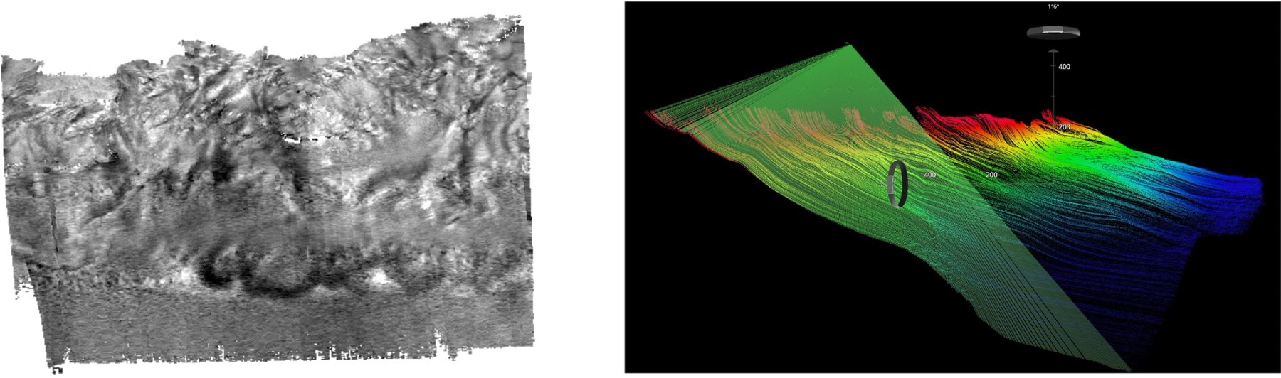 Snippets Backscatter Mosaic and point cloud data