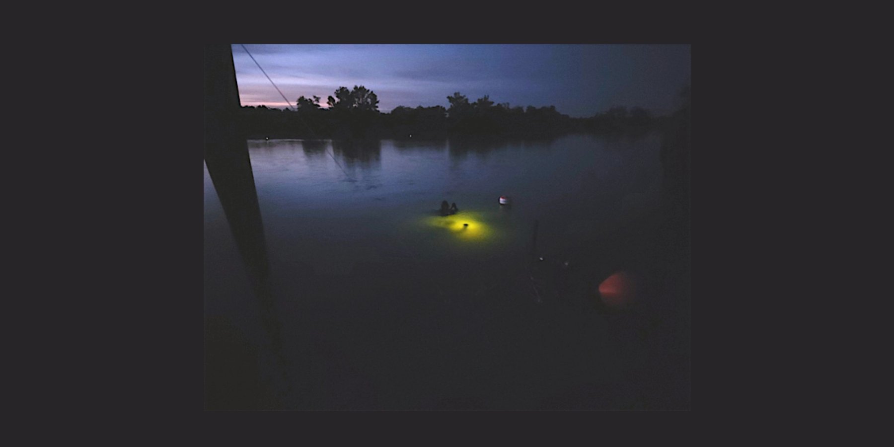 Divers in water at night time