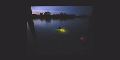 Divers in water at night time
