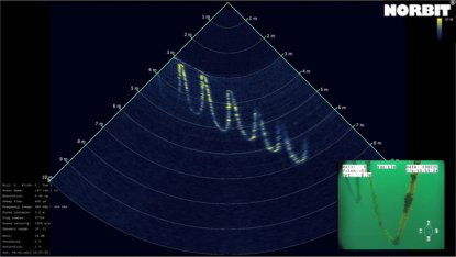 Sonar image of Ropes hanging in the water 