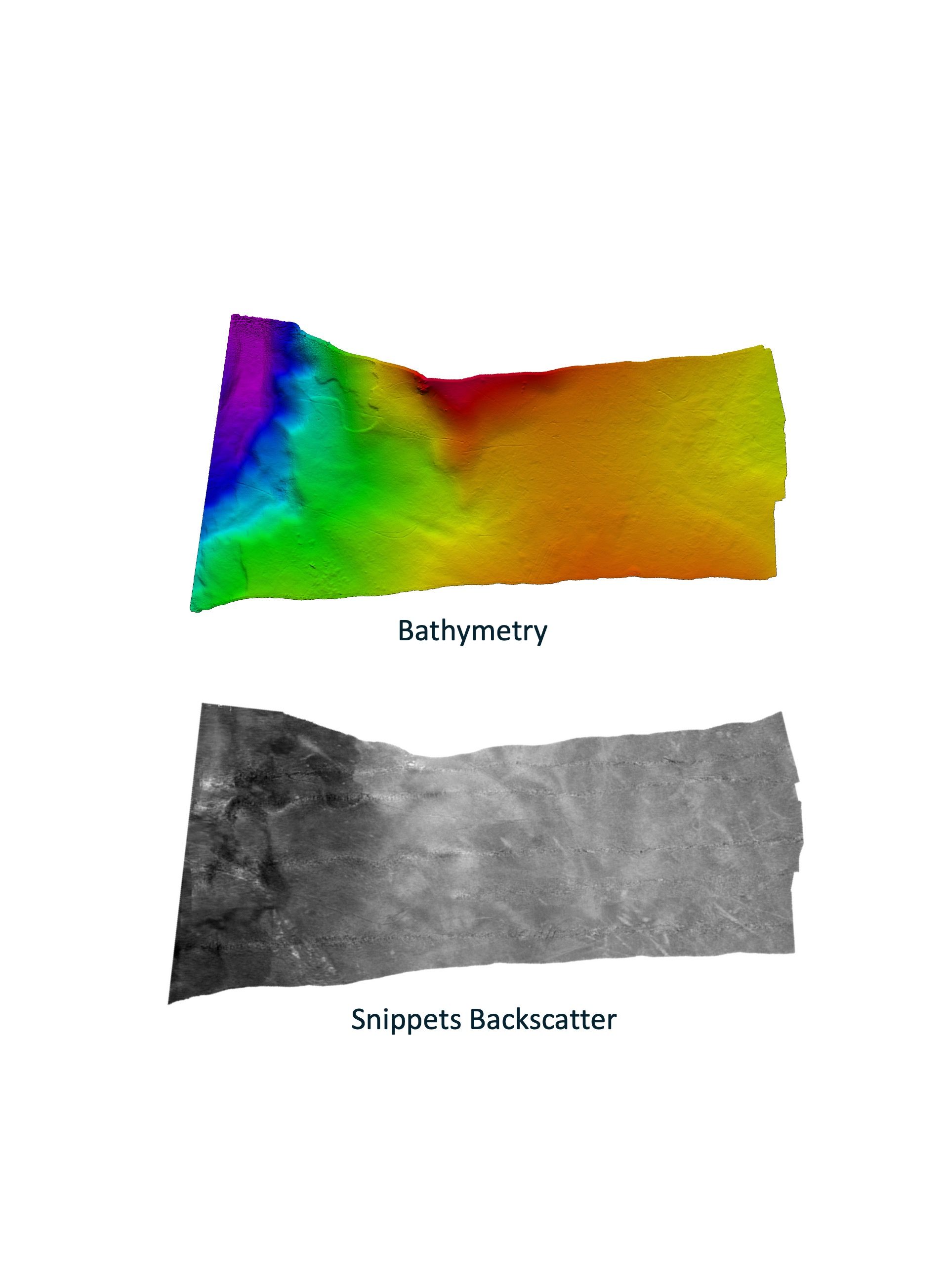 Bathymetry and backscatter data