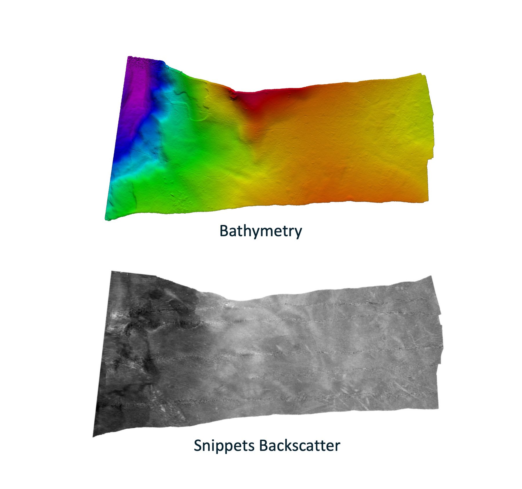 Bathymetry and backscatter data