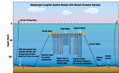 Illustration of Long Line set up