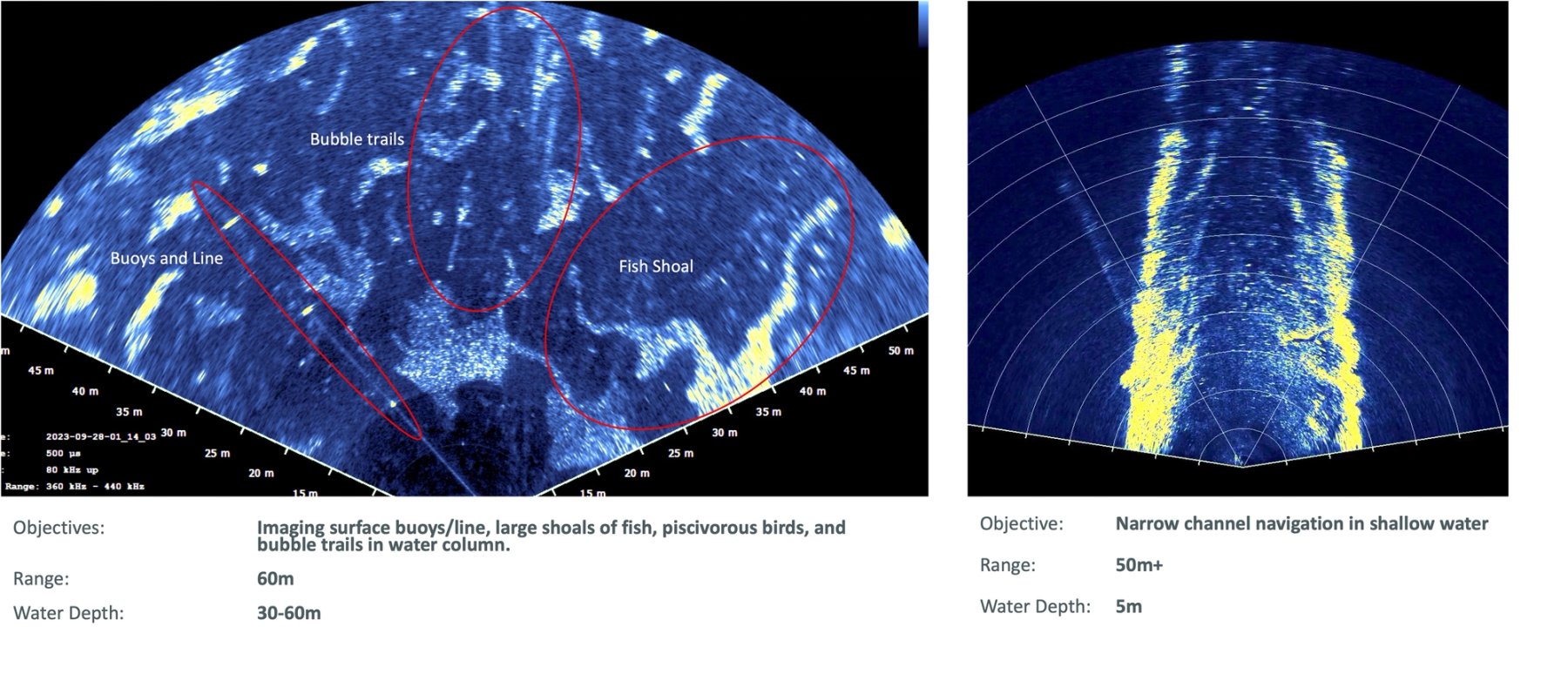 Sonar Imaging surface buoys/line, large shoals of fish