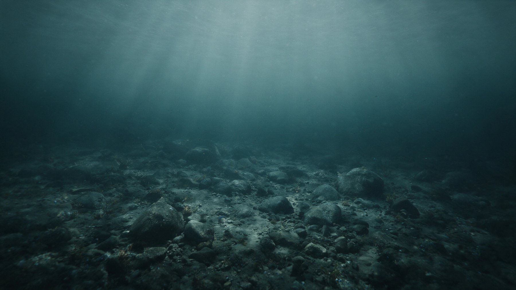 Seafloor of the North Sea