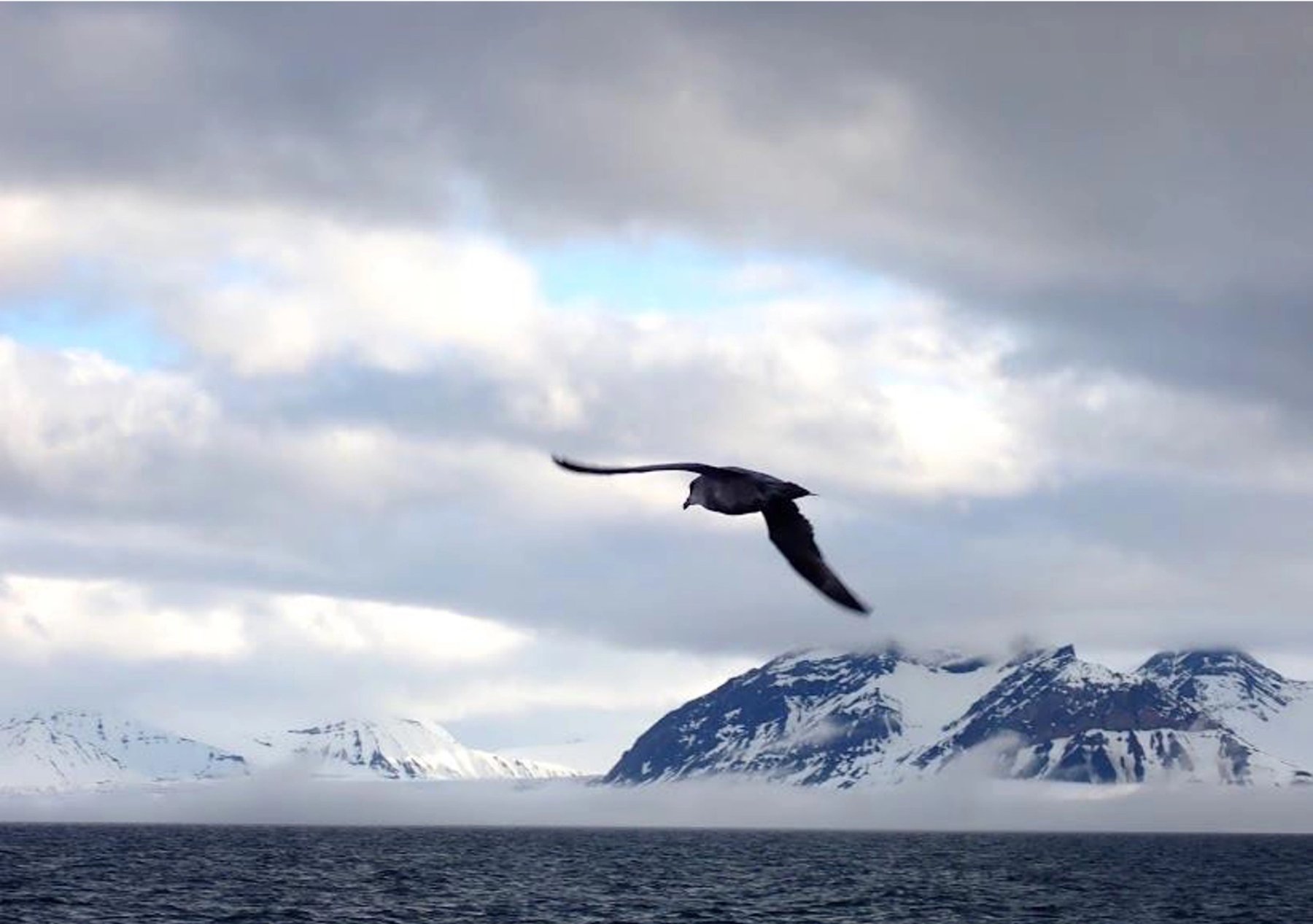Isfjorden, Svalbard, Norway