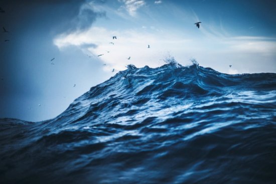 rolling sea with seagulls and blue sky