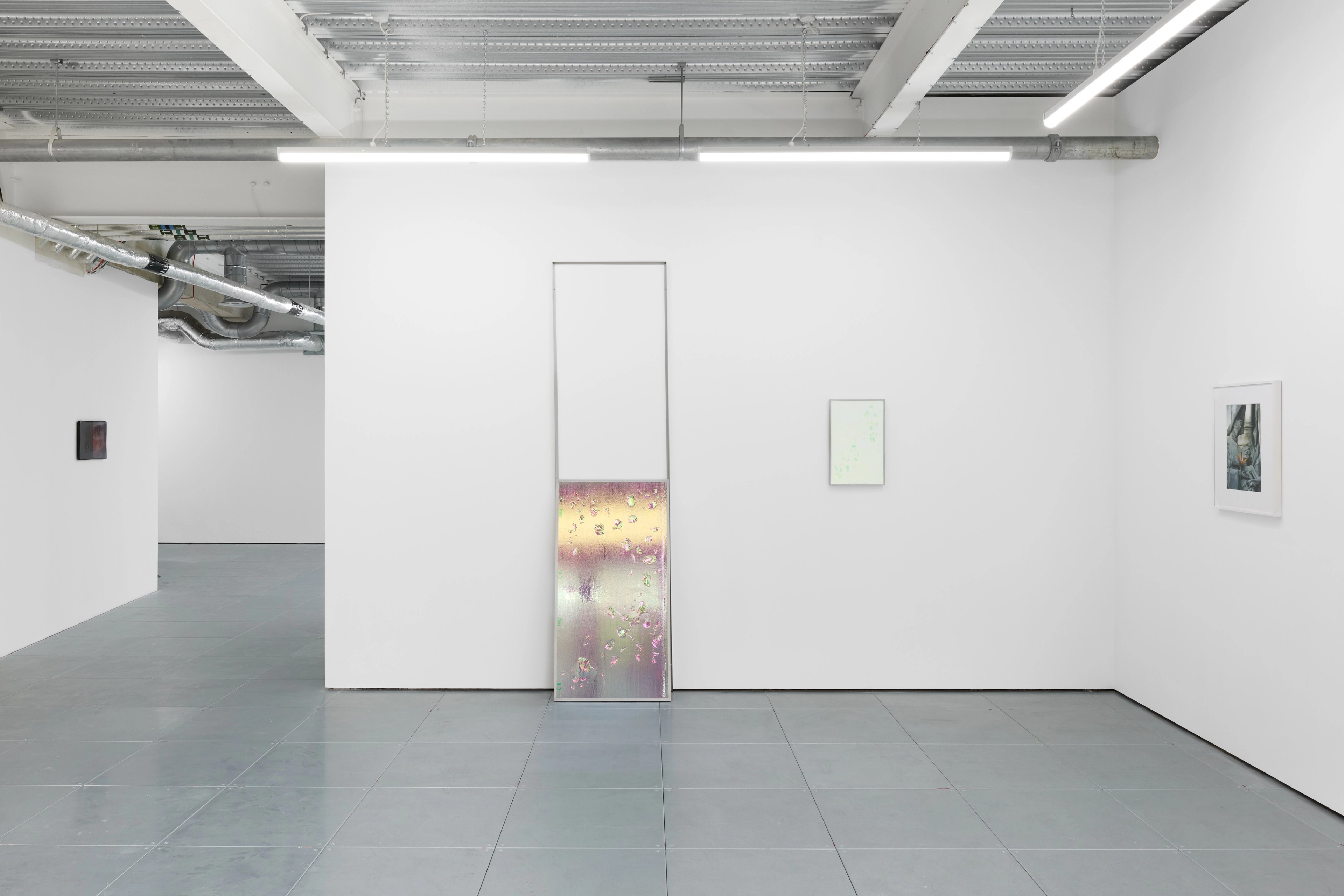installation view - cj Mahony - corpus