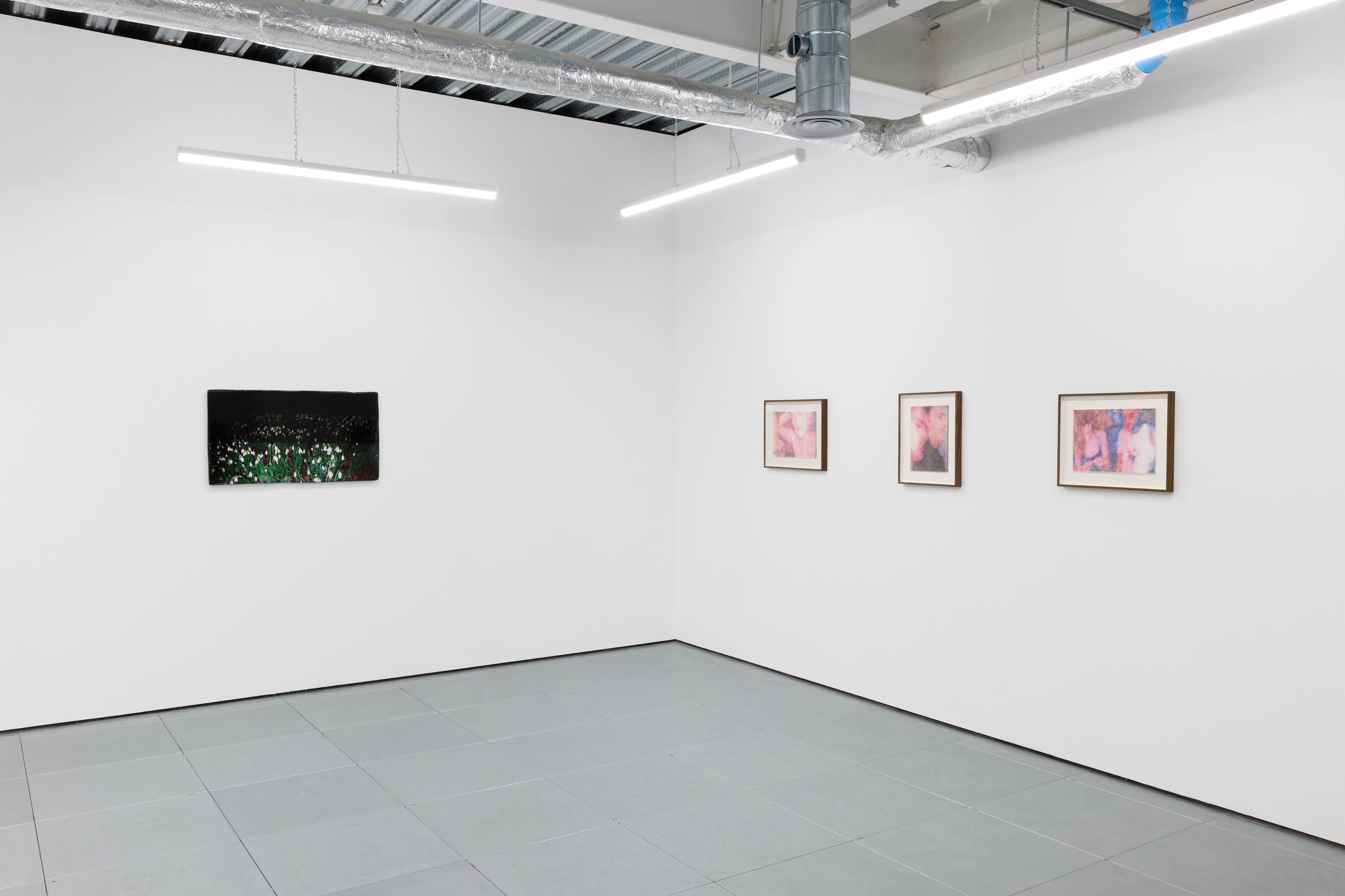 Installation view, CORPUS, Cambridge, 2025