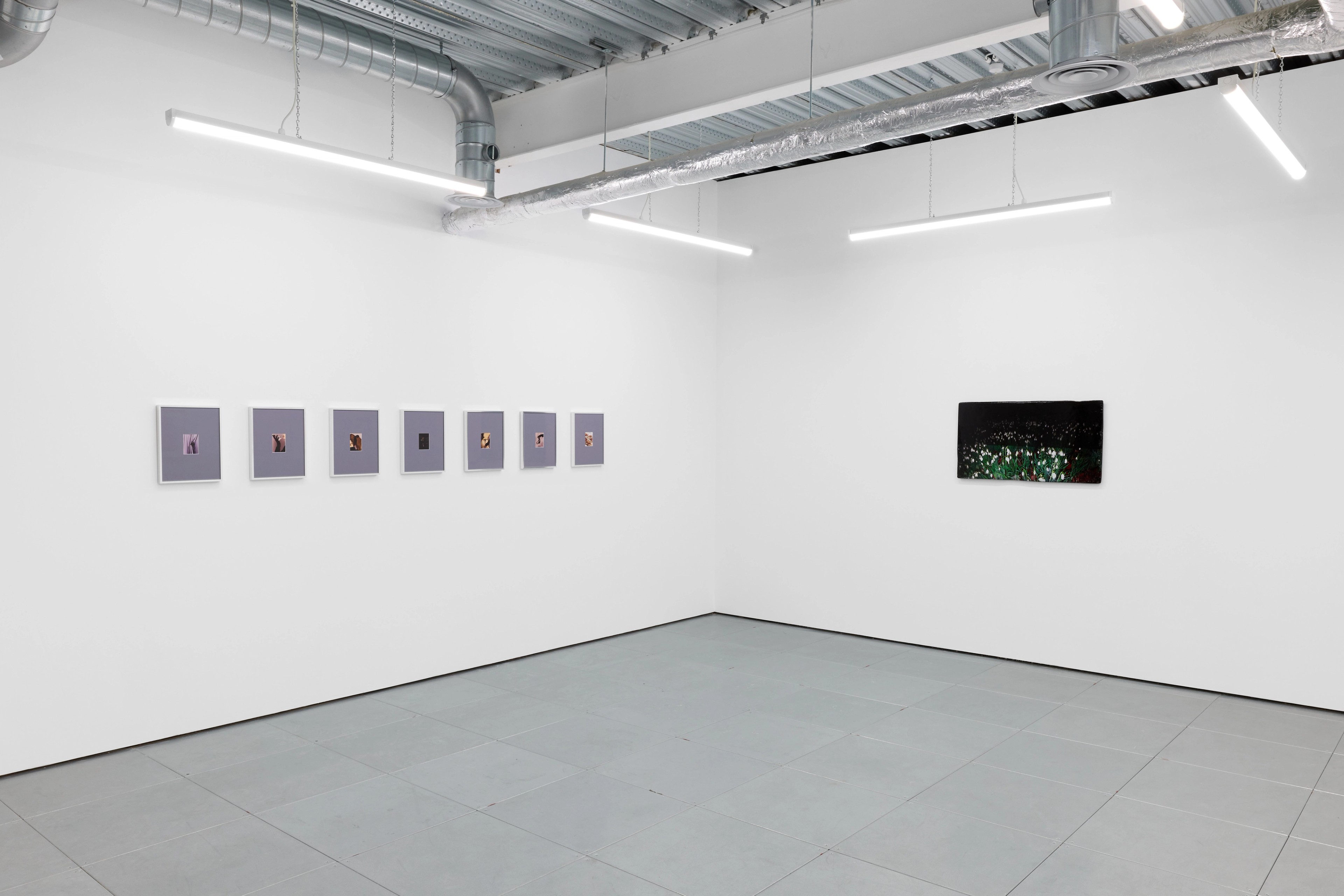 Installation view, CORPUS, Cambridge, 2025