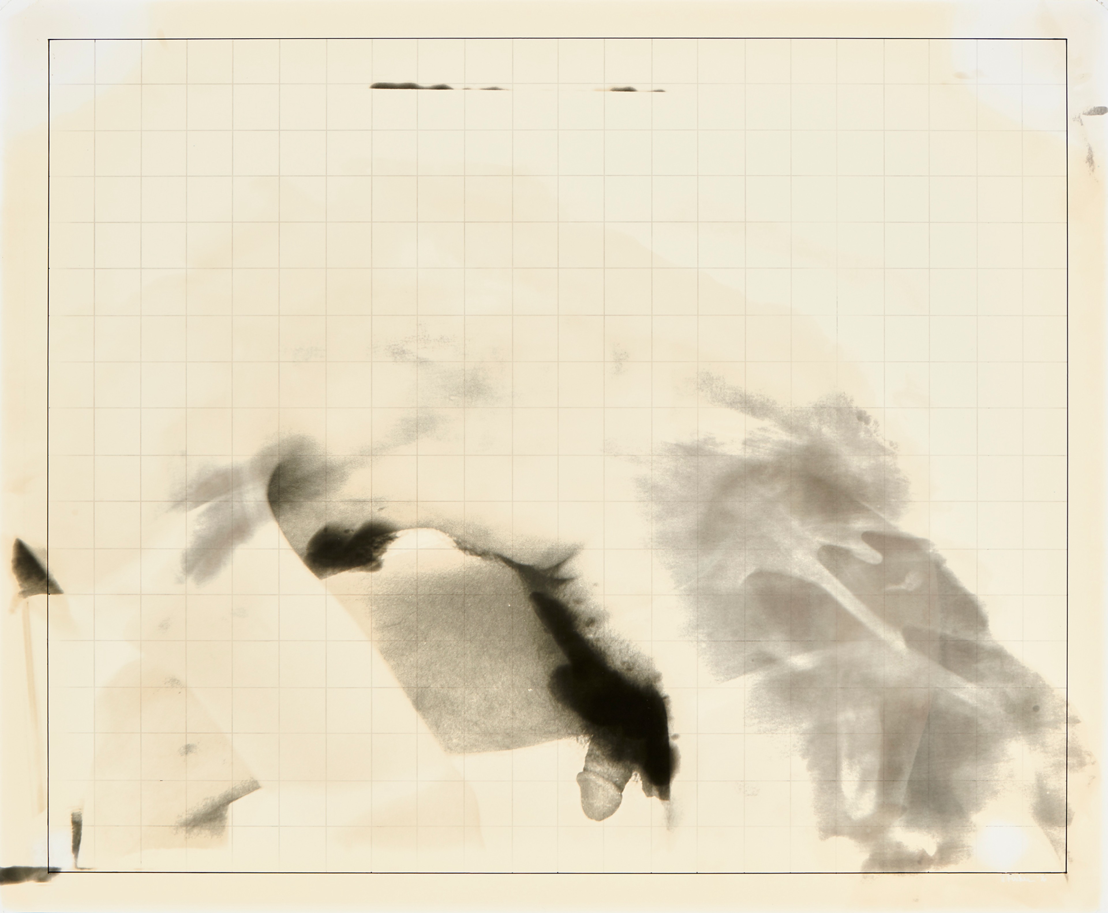 Male Profile 1, 1975