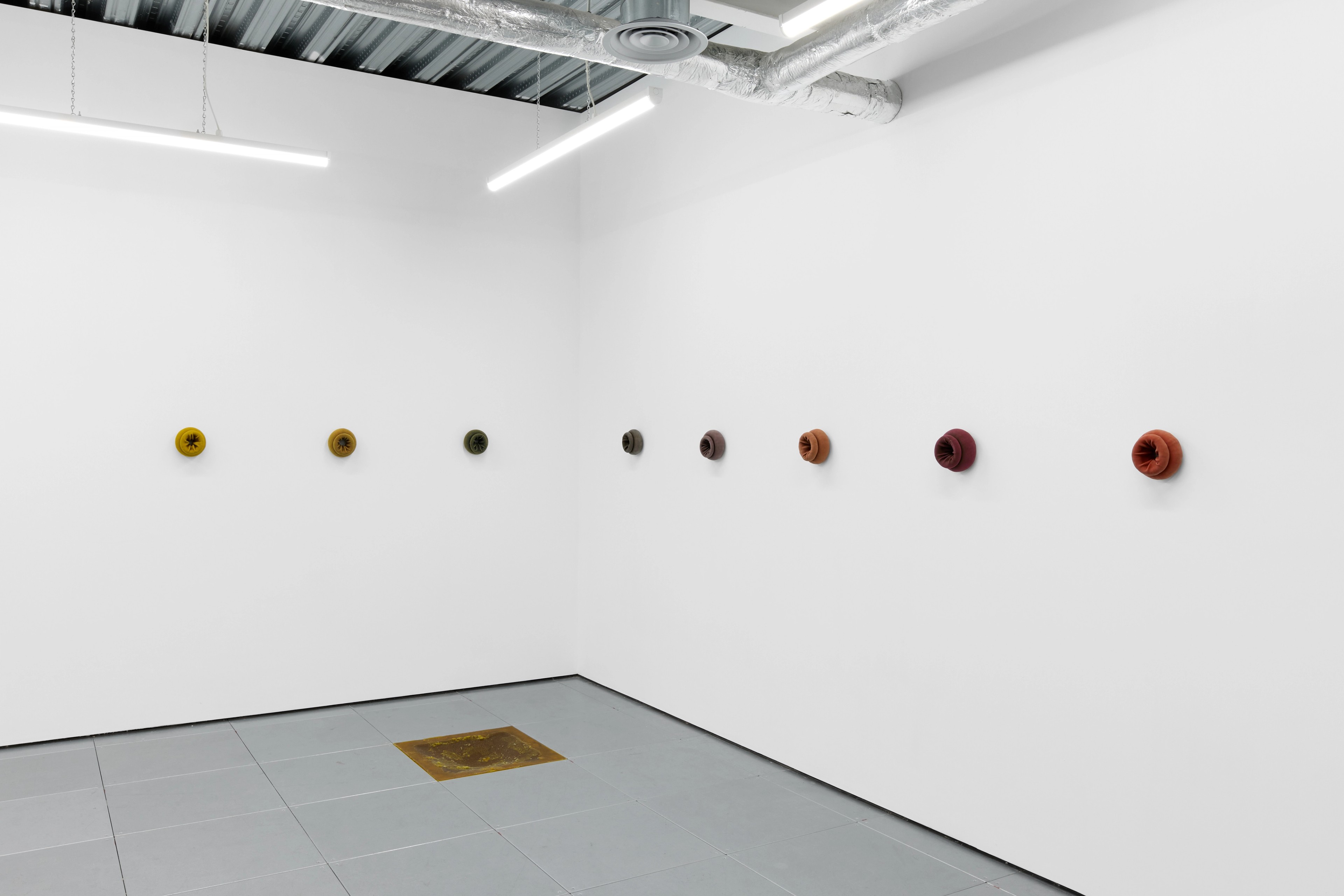 Installation view - Thibault Aedy - Absolute Contact - CORPUS - Cambridge - 2026