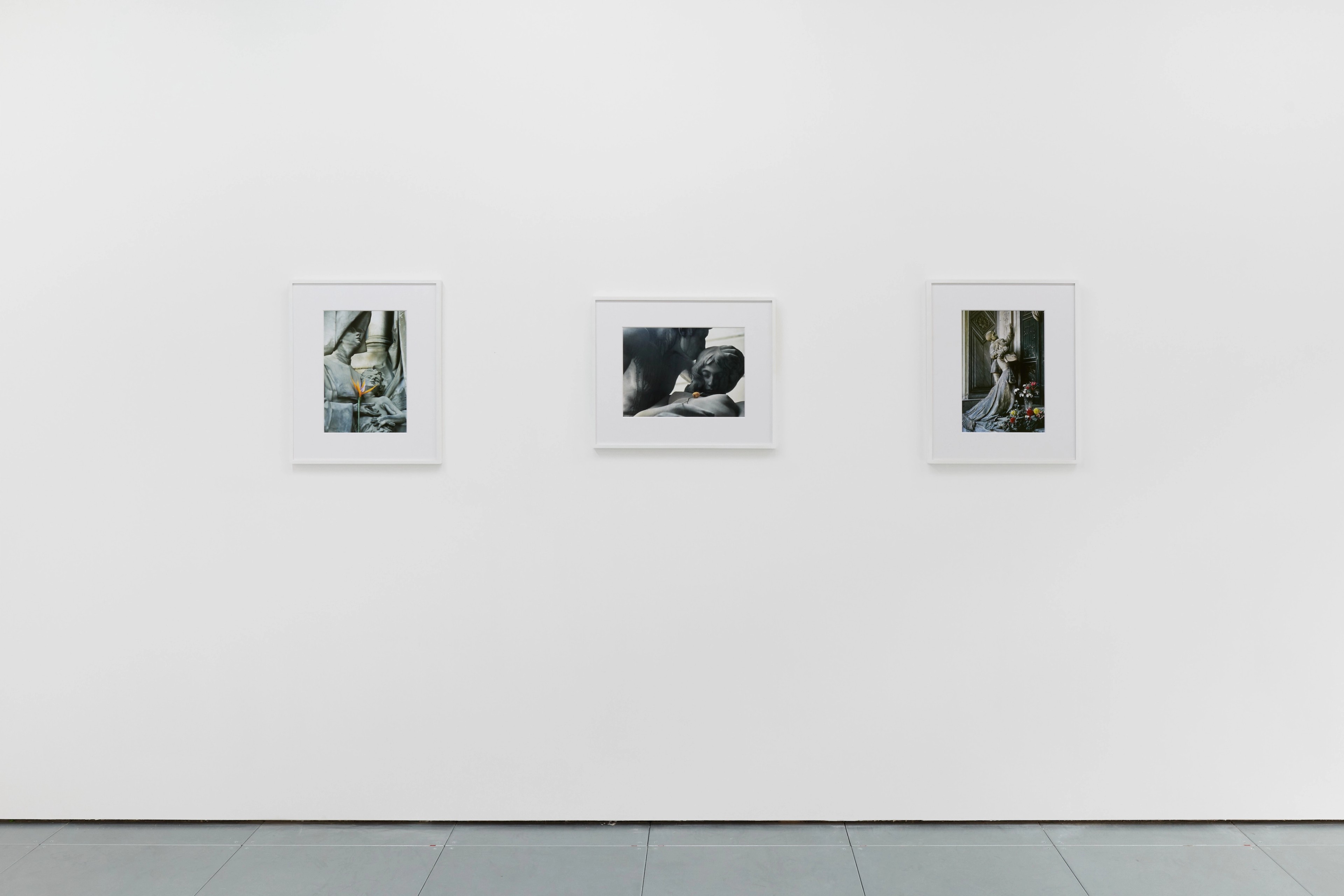 Installation view, CORPUS, Cambridge, 2025