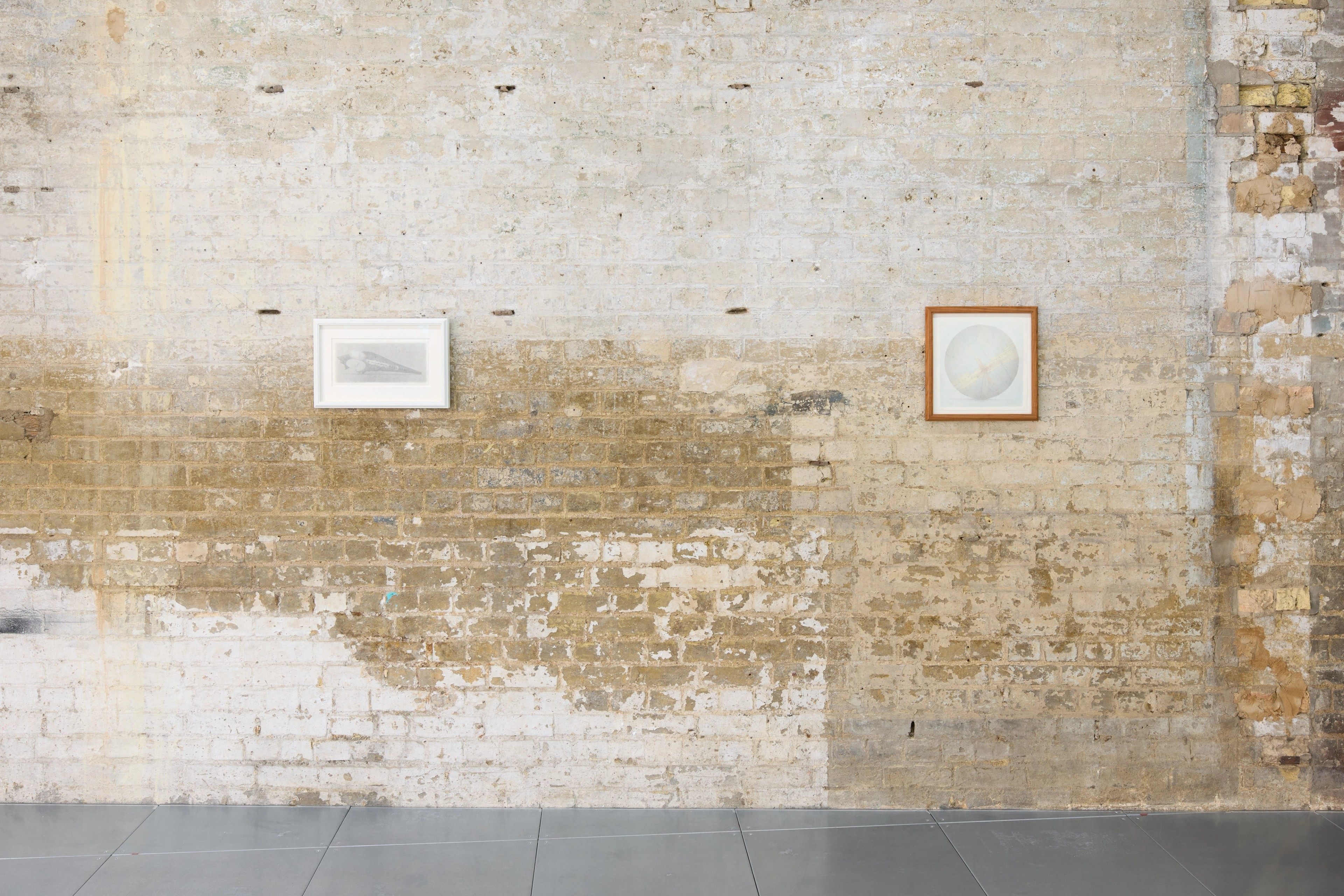 Joel Wyllie - Installation View - CORPUS - Cambridge - Etched Cell - 2026