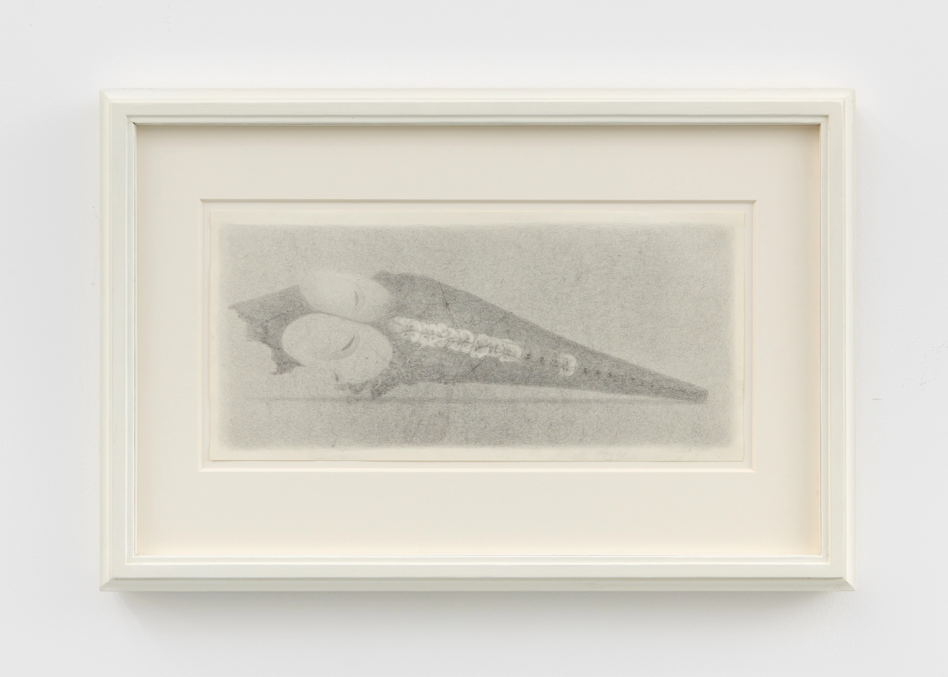 Joel Wyllie - Aerial - 2026