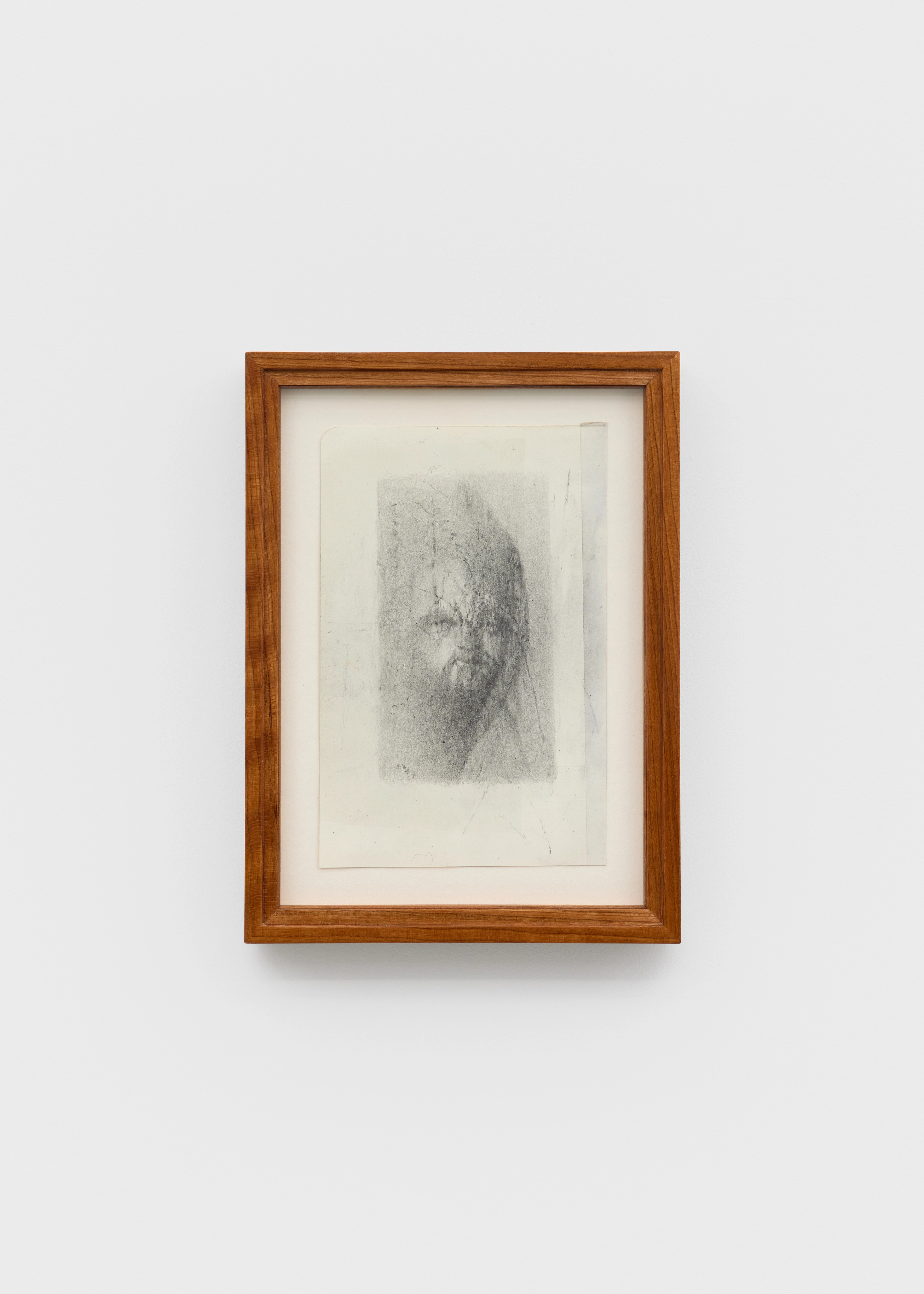 Joel Wyllie - Shedding picture no. 13, 2026