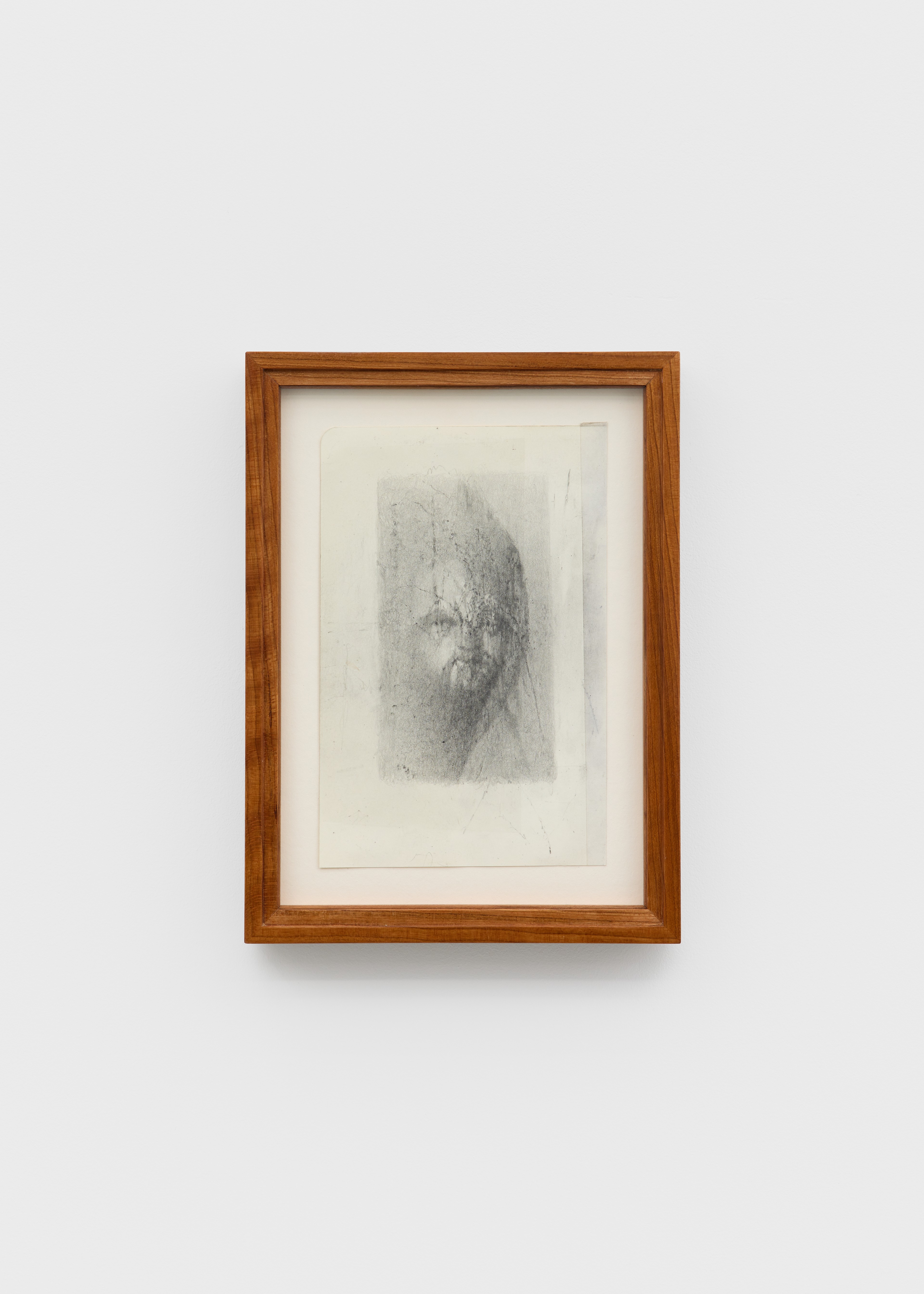 Joel Wyllie - Shedding picture no. 13, 2026