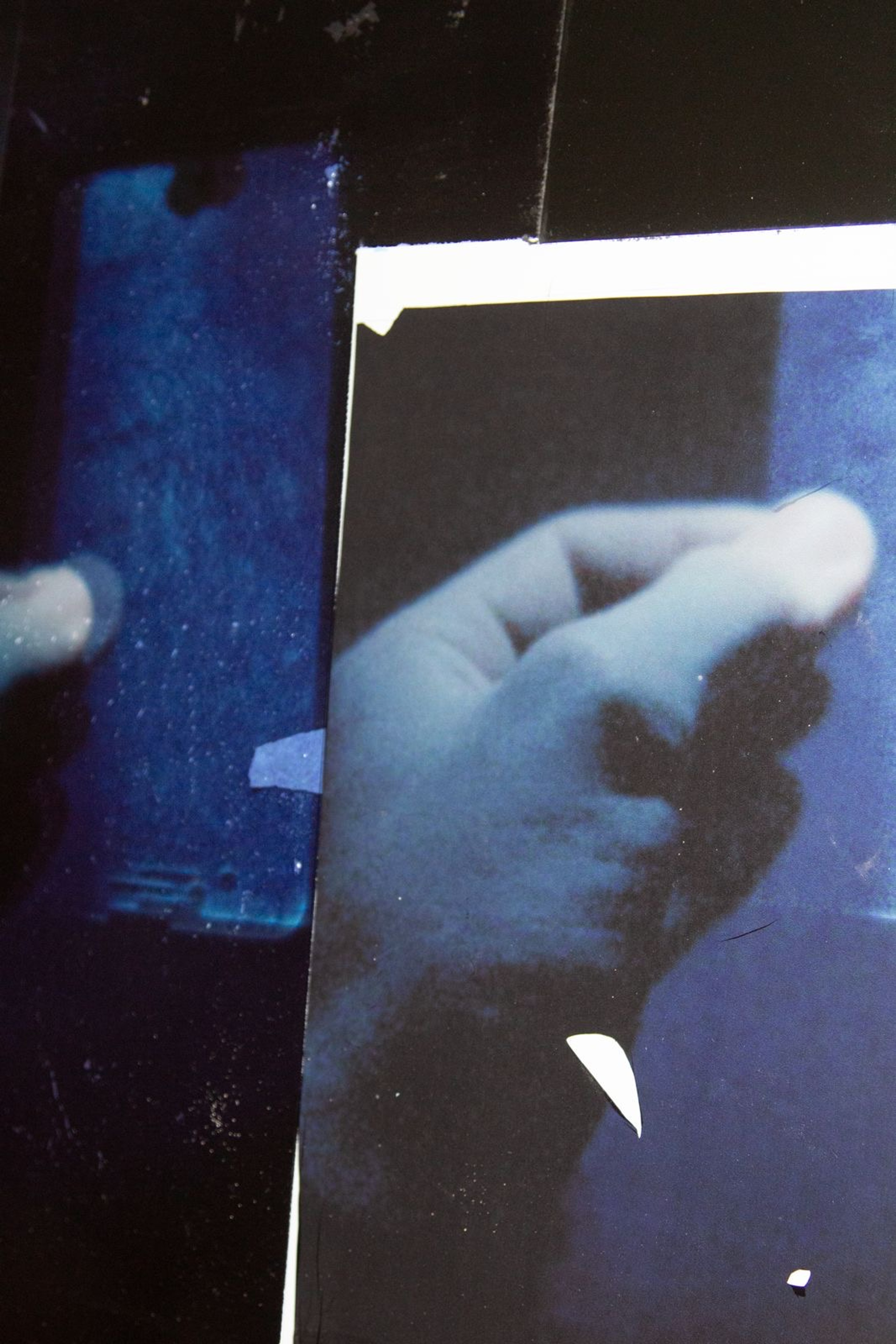 Bradley - Press Image