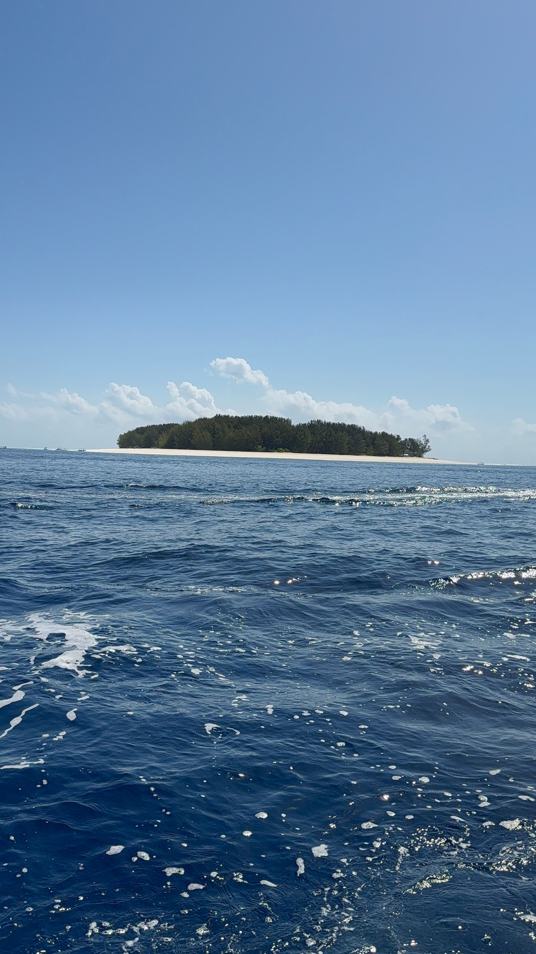 A ilha de Mnemba vista do barco.