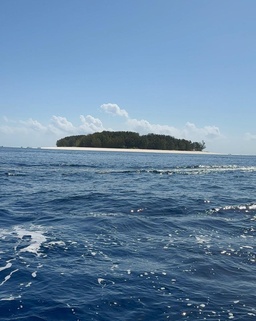 A ilha de Mnemba vista do barco.