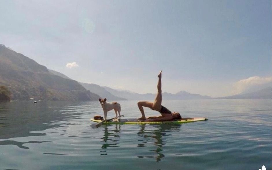A one-legged bridge on a paddleboard, with a dog standing beside.
