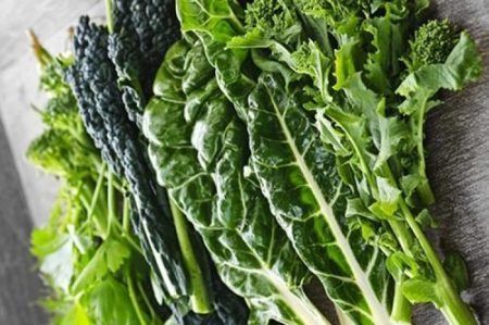 Lacinato kale leaves with other dark greens.