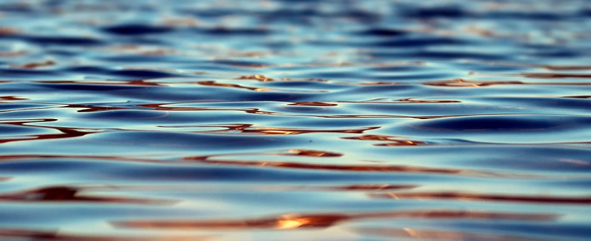 The Eco Rebel: Saving the world one drop at a time — Doron Yoga