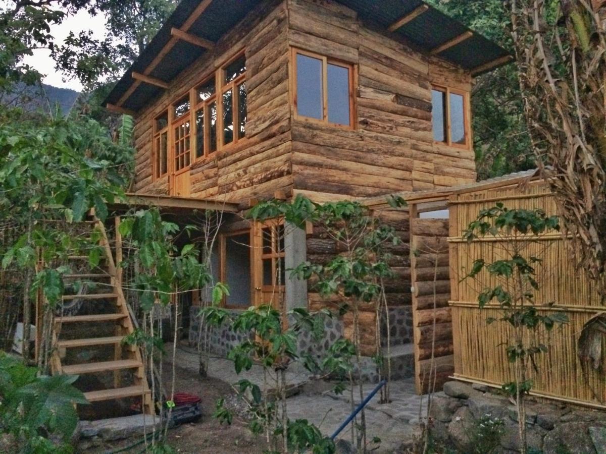 A wooden cabin in the trees.