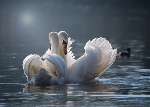 Yoga As Grace Path to Self Realization — Doron Yoga