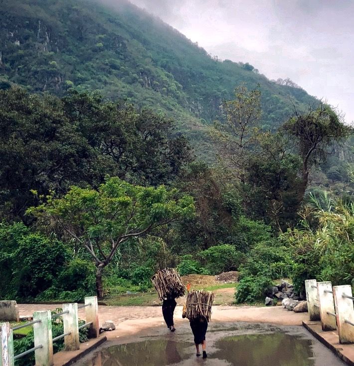 Two people walking a mountain road, each carrying a bundle of wood.