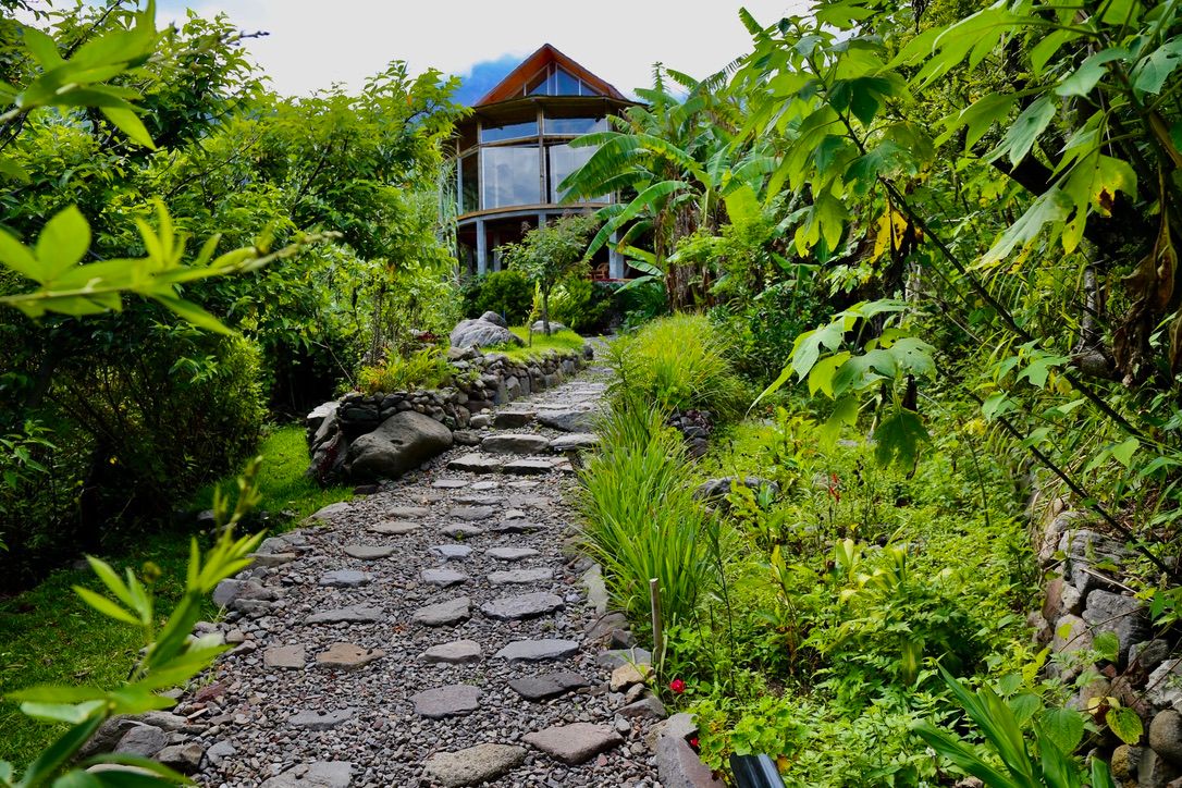 A stone path through a garden.