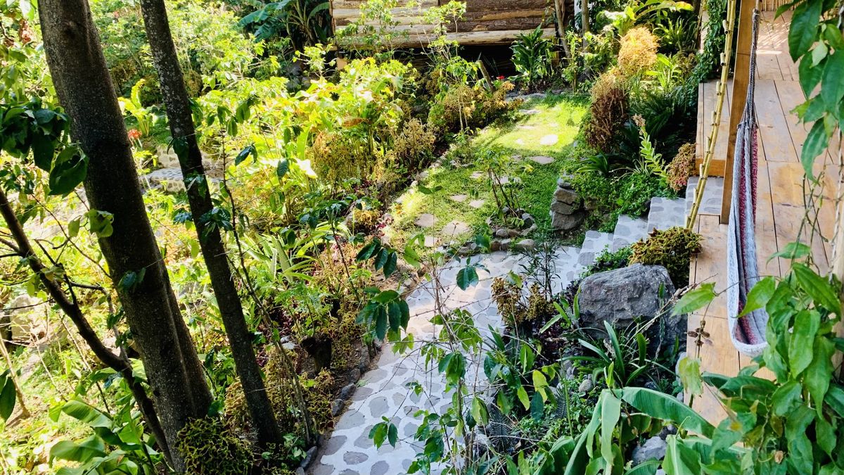 A garden path leading toward a small house.