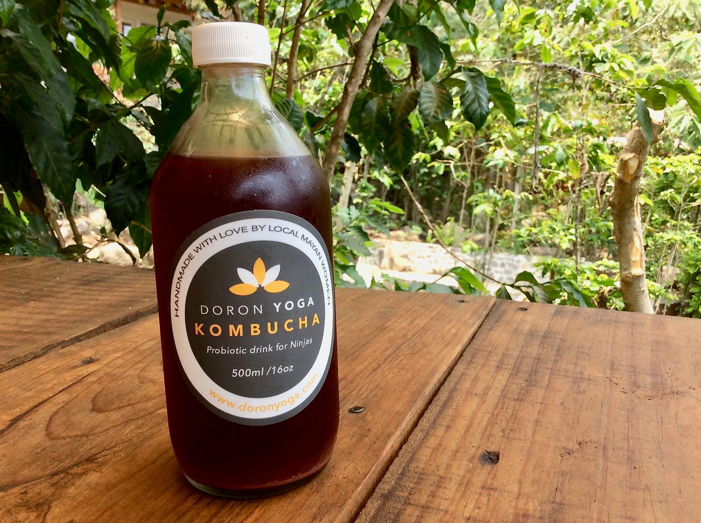 Kombucha