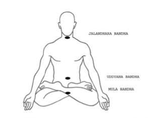 A diagram of the three bandhas: jalandhara, uddiyana, and mula.