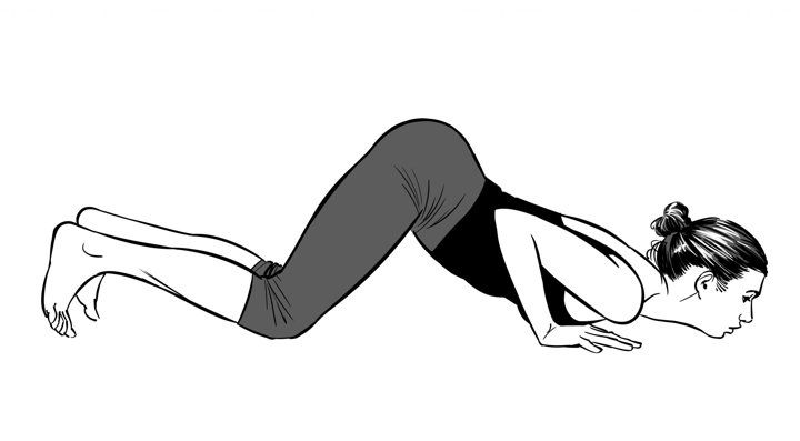 A line drawing of cat pose, back rounded, on hands and knees.