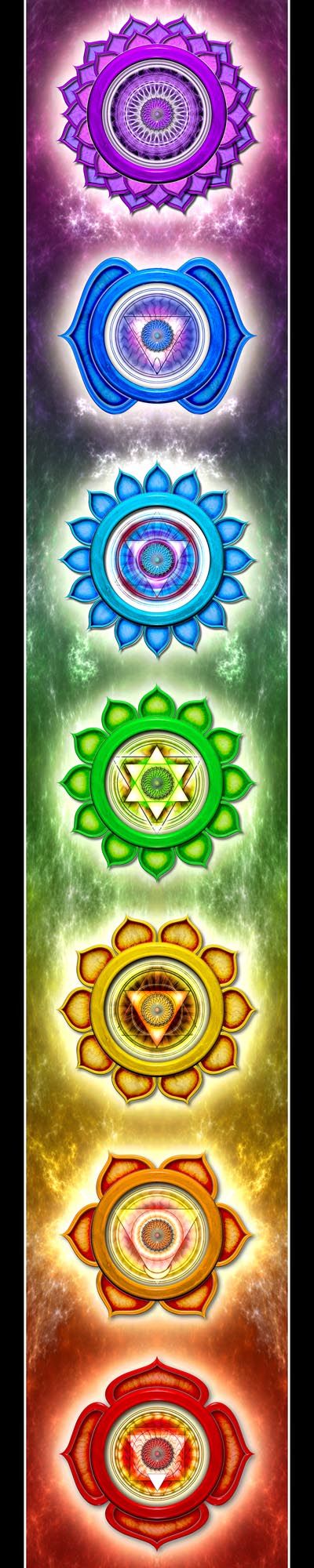 The seven chakras, drawn as a column of colored lotuses.