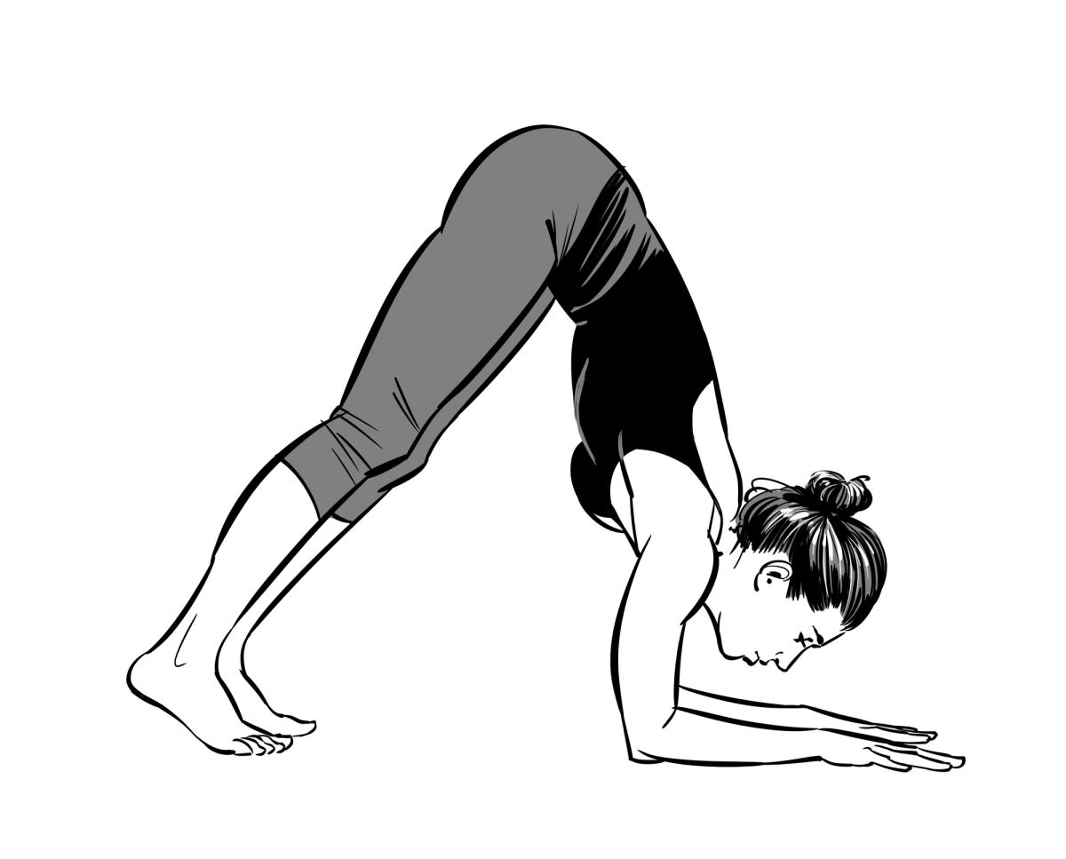 Forearm Balance - Pinchamayurasana — Happy Baby Yoga