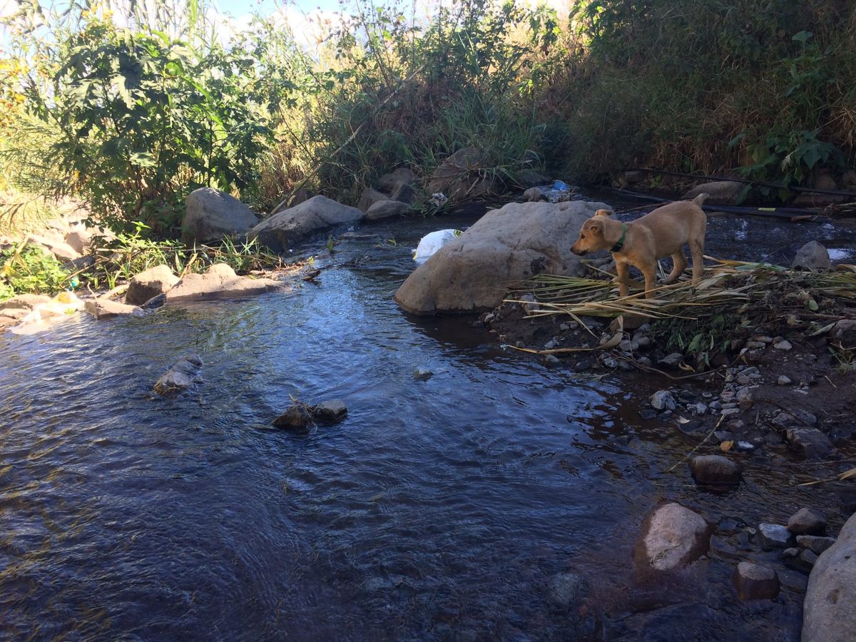 A stream moving through the rocks.