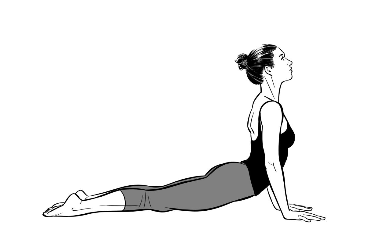 Upward Facing Dog - Urdhva Mukha Svanasana - How to do it right! — Happy Baby Yoga